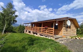 Cabana Doi Mesteceni